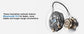 Professional AI Chip Translator Earbuds - App-Free, 60H, BT 6.0 EchoNexus INC.