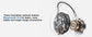 Professional AI Chip Translator Earbuds - App-Free, 60H, BT 6.0 - Lxvox